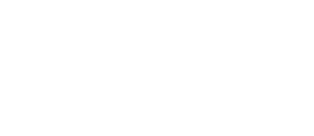 Beeshirt